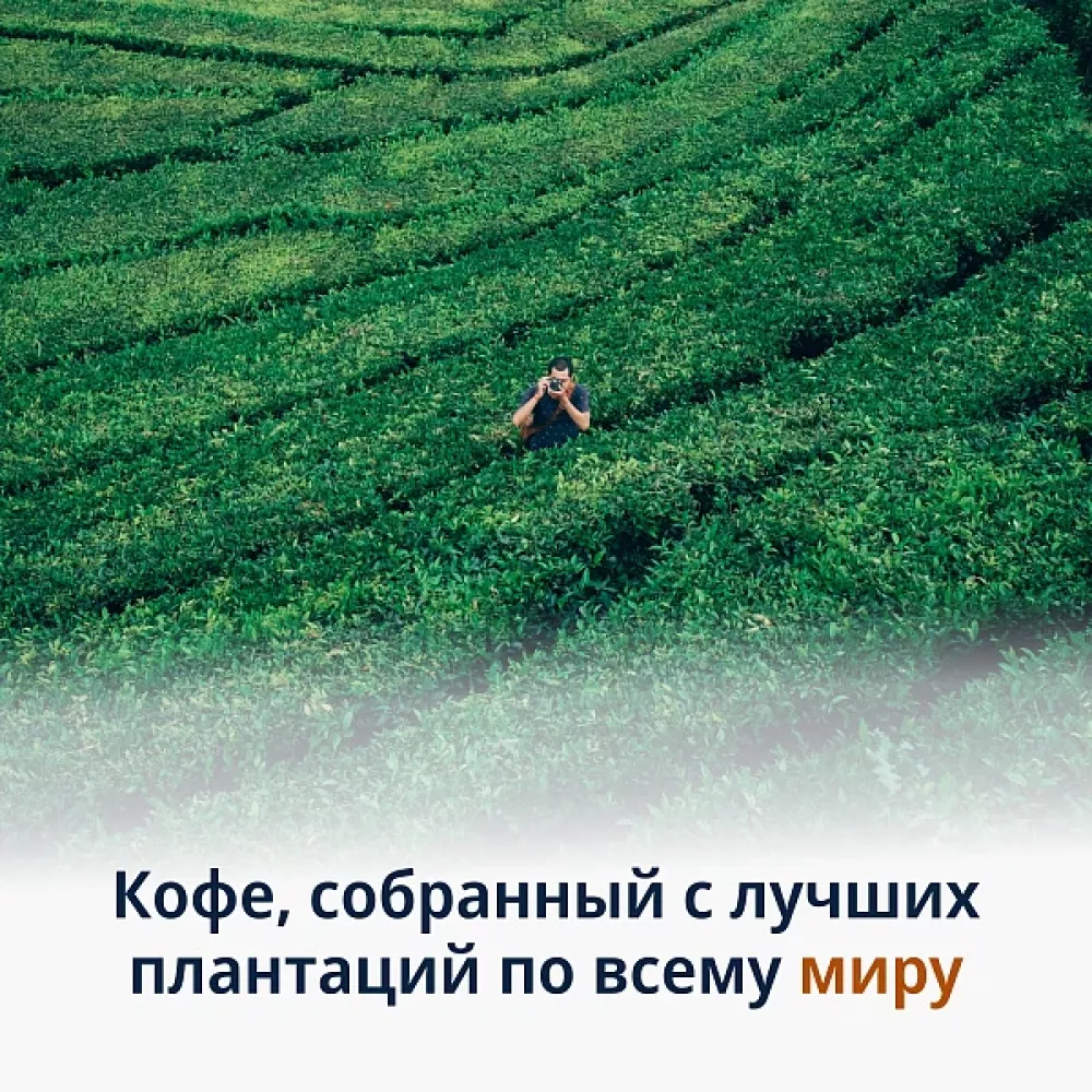 Кофе в зернах DeLonghi Signature coffee Mild Blend. 250 гр.